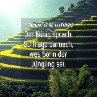 Picture 04 - 1 Samuel 17:56 LUTH1912 - Der König sprach: So frage darnach, wes Sohn der - Bible Verse Picture