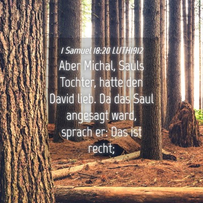 Picture 04 - 1 Samuel 18:20 LUTH1912 - Aber Michal, Sauls Tochter, hatte den David lieb. - Bible Verse Picture