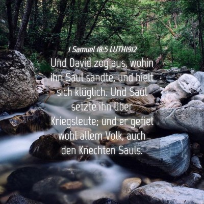 Picture 04 - 1 Samuel 18:5 LUTH1912 - Und David zog aus, wohin ihn Saul sandte, und - Bible Verse Picture