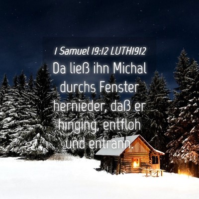 Picture 04 - 1 Samuel 19:12 LUTH1912 - Da ließ ihn Michal durchs Fenster hernieder, - Bible Verse Picture
