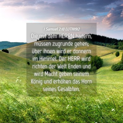 Picture 04 - 1 Samuel 2:10 LUTH1912 - Die mit dem HERRN hadern, müssen zugrunde gehen; - Bible Verse Picture