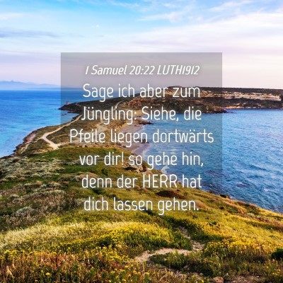 Picture 04 - 1 Samuel 20:22 LUTH1912 - Sage ich aber zum Jüngling: Siehe, die Pfeile - Bible Verse Picture