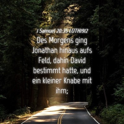 Picture 04 - 1 Samuel 20:35 LUTH1912 - Des Morgens ging Jonathan hinaus aufs Feld, dahin - Bible Verse Picture