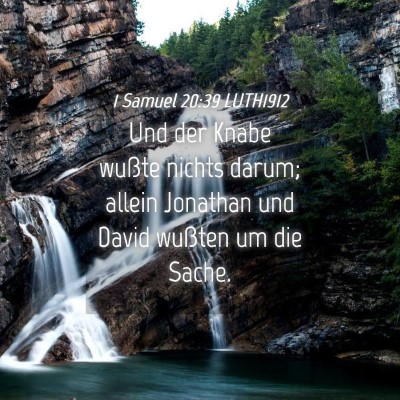 Picture 04 - 1 Samuel 20:39 LUTH1912 - Und der Knabe wußte nichts darum; allein - Bible Verse Picture