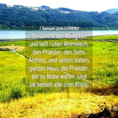 Picture 04 - 1 Samuel 22:11 LUTH1912 - Da sandte der König hin und ließ rufen - Bible Verse Picture