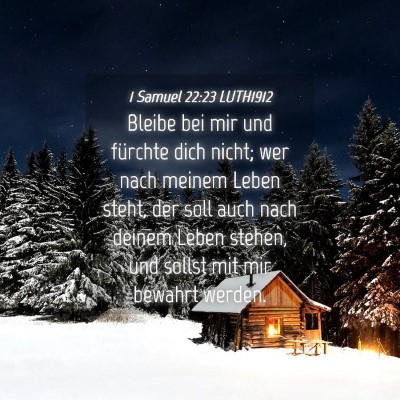 Picture 04 - 1 Samuel 22:23 LUTH1912 - Bleibe bei mir und fürchte dich nicht; wer nach - Bible Verse Picture