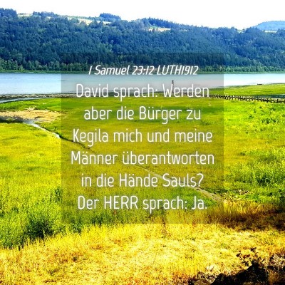 Picture 04 - 1 Samuel 23:12 LUTH1912 - David sprach: Werden aber die Bürger zu Kegila - Bible Verse Picture