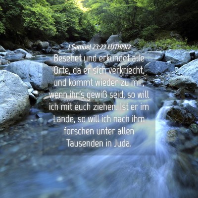 Picture 04 - 1 Samuel 23:23 LUTH1912 - Besehet und erkundet alle Orte, da er sich - Bible Verse Picture