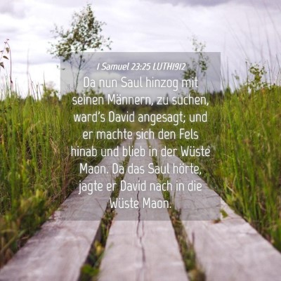 Picture 04 - 1 Samuel 23:25 LUTH1912 - Da nun Saul hinzog mit seinen Männern, zu - Bible Verse Picture
