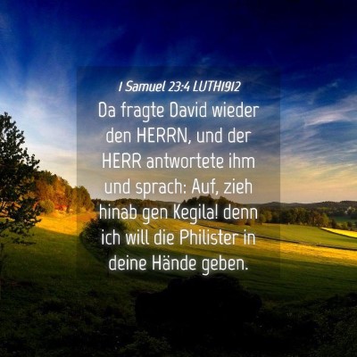 Picture 04 - 1 Samuel 23:4 LUTH1912 - Da fragte David wieder den HERRN, und der HERR - Bible Verse Picture