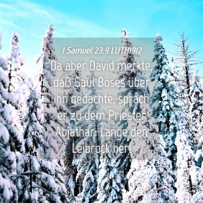 Picture 04 - 1 Samuel 23:9 LUTH1912 - Da aber David merkte, daß Saul Böses über ihn - Bible Verse Picture