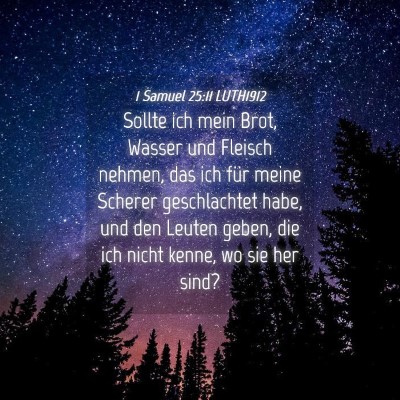 Picture 04 - 1 Samuel 25:11 LUTH1912 - Sollte ich mein Brot, Wasser und Fleisch nehmen, - Bible Verse Picture
