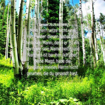 Picture 04 - 1 Samuel 25:25 LUTH1912 - Mein Herr setze nicht sein Herz wider diesen - Bible Verse Picture