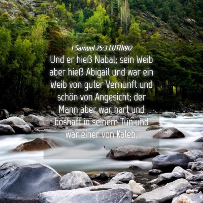 Picture 04 - 1 Samuel 25:3 LUTH1912 - Und er hieß Nabal; sein Weib aber hieß Abigail - Bible Verse Picture