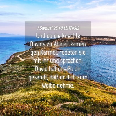 Picture 04 - 1 Samuel 25:40 LUTH1912 - Und da die Knechte Davids zu Abigail kamen gen - Bible Verse Picture