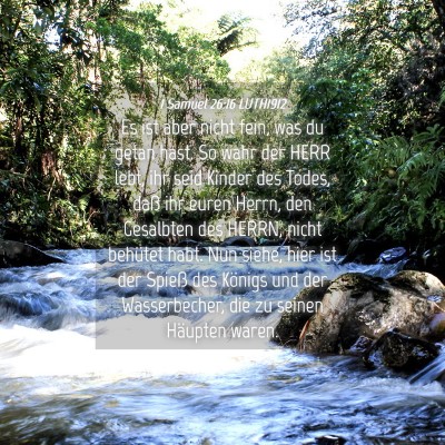 Picture 04 - 1 Samuel 26:16 LUTH1912 - Es ist aber nicht fein, was du getan hast. So - Bible Verse Picture