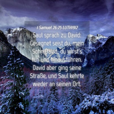 Picture 04 - 1 Samuel 26:25 LUTH1912 - Saul sprach zu David: Gesegnet seist du, mein - Bible Verse Picture