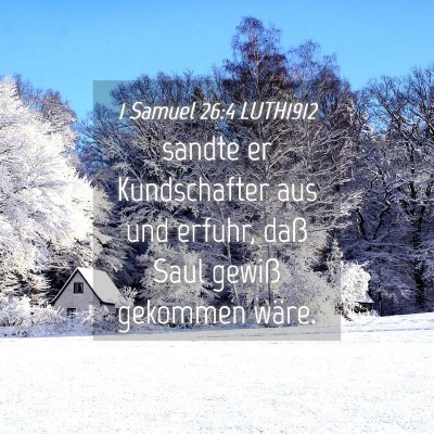 Picture 04 - 1 Samuel 26:4 LUTH1912 - sandte er Kundschafter aus und erfuhr, daß Saul - Bible Verse Picture