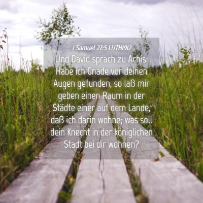 Picture 04 - 1 Samuel 27:5 LUTH1912 - Und David sprach zu Achis: Habe ich Gnade vor - Bible Verse Picture