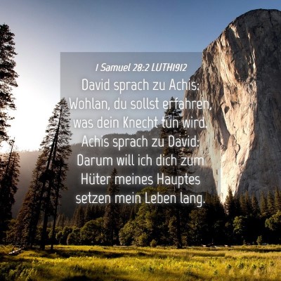 Picture 04 - 1 Samuel 28:2 LUTH1912 - David sprach zu Achis: Wohlan, du sollst - Bible Verse Picture