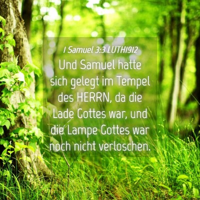 Picture 04 - 1 Samuel 3:3 LUTH1912 - Und Samuel hatte sich gelegt im Tempel des HERRN, - Bible Verse Picture
