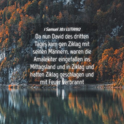 Picture 04 - 1 Samuel 30:1 LUTH1912 - Da nun David des dritten Tages kam gen Ziklag mit - Bible Verse Picture