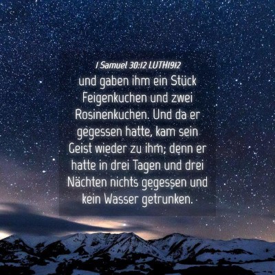 Picture 04 - 1 Samuel 30:12 LUTH1912 - und gaben ihm ein Stück Feigenkuchen und zwei - Bible Verse Picture