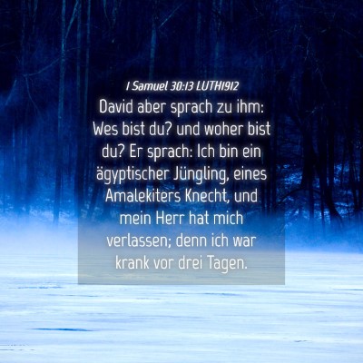 Picture 04 - 1 Samuel 30:13 LUTH1912 - David aber sprach zu ihm: Wes bist du? und woher - Bible Verse Picture