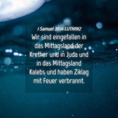 Picture 04 - 1 Samuel 30:14 LUTH1912 - Wir sind eingefallen in das Mittagsland der - Bible Verse Picture