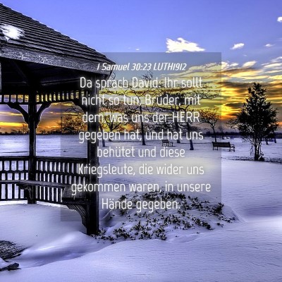 Picture 04 - 1 Samuel 30:23 LUTH1912 - Da sprach David: Ihr sollt nicht so tun, Brüder, - Bible Verse Picture