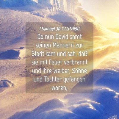 Picture 04 - 1 Samuel 30:3 LUTH1912 - Da nun David samt seinen Männern zur Stadt kam - Bible Verse Picture