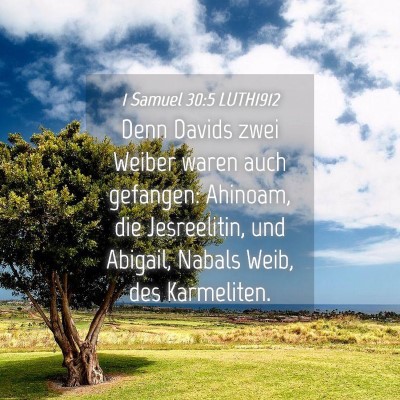 Picture 04 - 1 Samuel 30:5 LUTH1912 - Denn Davids zwei Weiber waren auch gefangen: - Bible Verse Picture