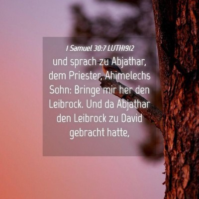 Picture 04 - 1 Samuel 30:7 LUTH1912 - und sprach zu Abjathar, dem Priester, Ahimelechs - Bible Verse Picture