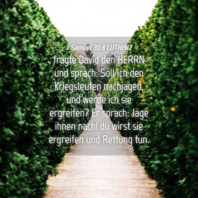 Picture 04 - 1 Samuel 30:8 LUTH1912 - fragte David den HERRN und sprach: Soll ich den - Bible Verse Picture
