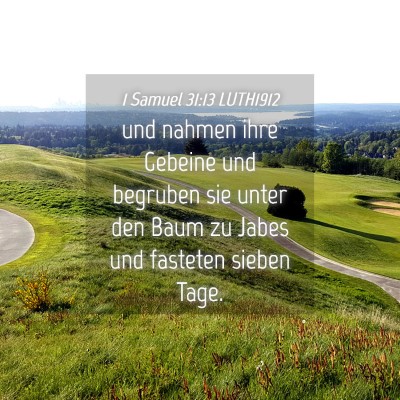 Picture 04 - 1 Samuel 31:13 LUTH1912 - und nahmen ihre Gebeine und begruben sie unter - Bible Verse Picture