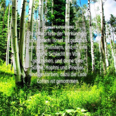 Picture 04 - 1 Samuel 4:17 LUTH1912 - Da antwortete der Verkündiger und sprach: Israel - Bible Verse Picture