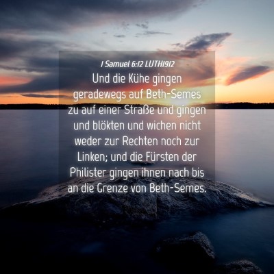 Picture 04 - 1 Samuel 6:12 LUTH1912 - Und die Kühe gingen geradewegs auf Beth-Semes zu - Bible Verse Picture