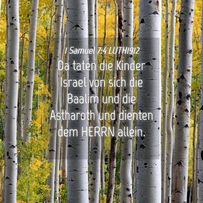 Picture 04 - 1 Samuel 7:4 LUTH1912 - Da taten die Kinder Israel von sich die Baalim - Bible Verse Picture