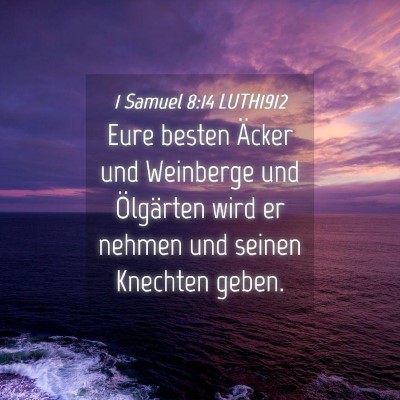 Picture 04 - 1 Samuel 8:14 LUTH1912 - Eure besten Äcker und Weinberge und Ölgärten - Bible Verse Picture