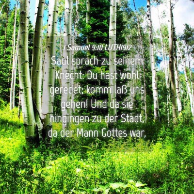 Picture 04 - 1 Samuel 9:10 LUTH1912 - Saul sprach zu seinem Knecht: Du hast wohl - Bible Verse Picture
