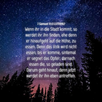 Picture 04 - 1 Samuel 9:13 LUTH1912 - Wenn ihr in die Stadt kommt, so werdet ihr ihn - Bible Verse Picture