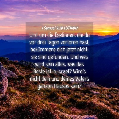 Picture 04 - 1 Samuel 9:20 LUTH1912 - Und um die Eselinnen, die du vor drei Tagen - Bible Verse Picture