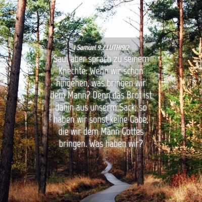 Picture 04 - 1 Samuel 9:7 LUTH1912 - Saul aber sprach zu seinem Knechte: Wenn wir - Bible Verse Picture