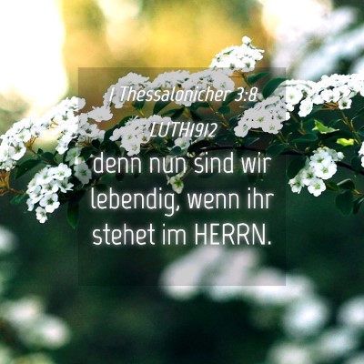 Picture 04 - 1 Thessalonicher 3:8 LUTH1912 - denn nun sind wir lebendig, wenn ihr stehet im - Bible Verse Picture