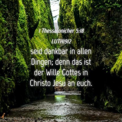 Picture 04 - 1 Thessalonicher 5:18 LUTH1912 - seid dankbar in allen Dingen; denn das ist der - Bible Verse Picture