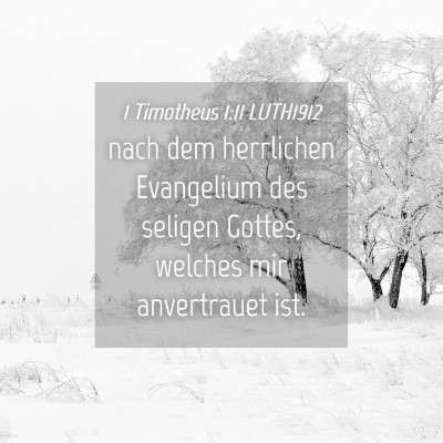 Picture 04 - 1 Timotheus 1:11 LUTH1912 - nach dem herrlichen Evangelium des seligen - Bible Verse Picture