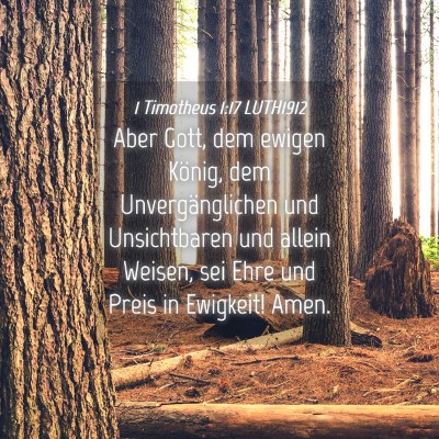 Picture 04 - 1 Timotheus 1:17 LUTH1912 - Aber Gott, dem ewigen König, dem - Bible Verse Picture