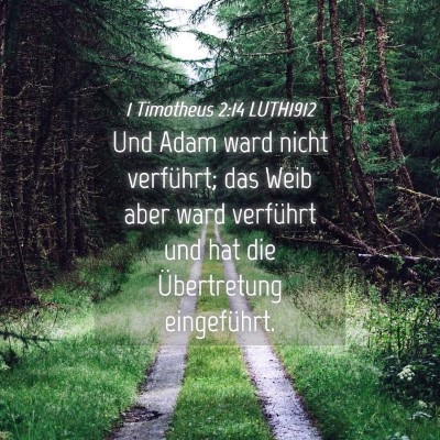 Picture 04 - 1 Timotheus 2:14 LUTH1912 - Und Adam ward nicht verführt; das Weib aber ward - Bible Verse Picture