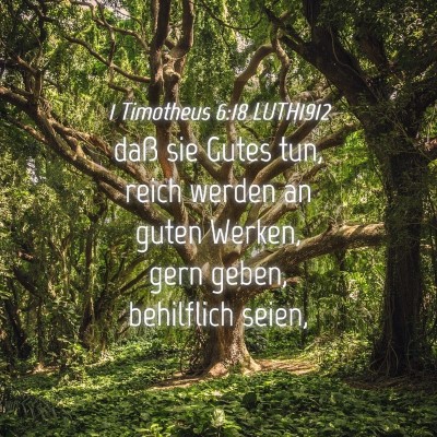 Picture 04 - 1 Timotheus 6:18 LUTH1912 - daß sie Gutes tun, reich werden an guten Werken, - Bible Verse Picture