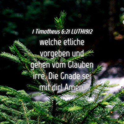 Picture 04 - 1 Timotheus 6:21 LUTH1912 - welche etliche vorgeben und gehen vom Glauben - Bible Verse Picture
